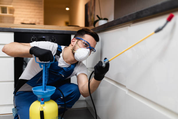Best Best Pest Control Companies  in Rock Springs, WY