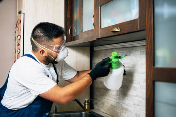 Best Commercial Pest Control Services  in Rock Springs, WY
