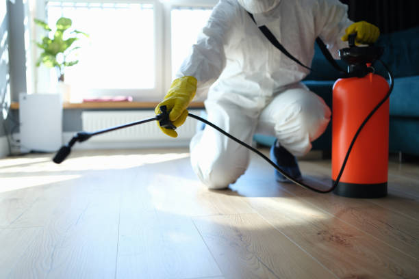 Best Residential Pest Control  in Rock Springs, WY