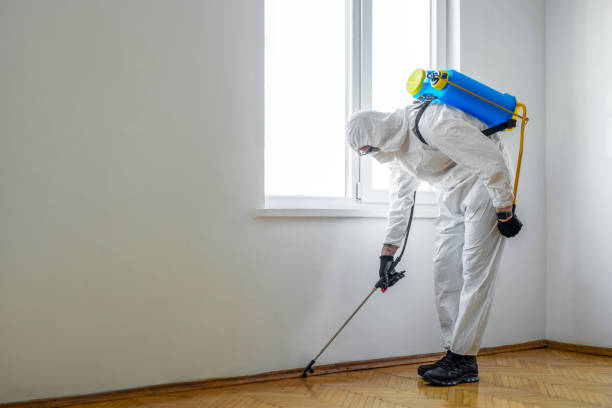 Best Bed Bug Extermination  in Rock Springs, WY